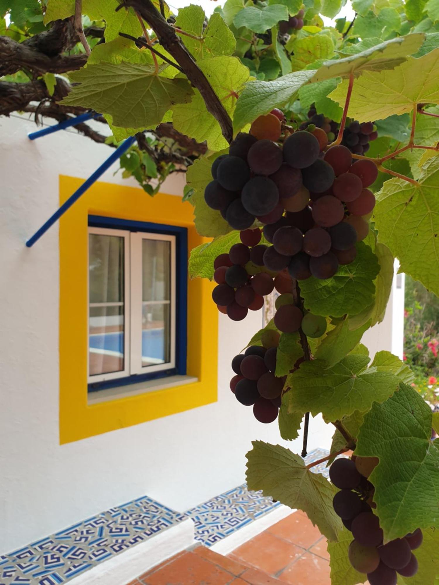 Sondela Self Catering São Martinho do Porto Exterior foto