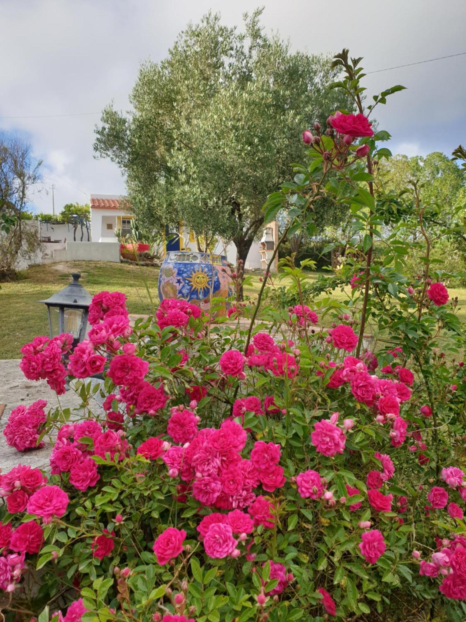 Sondela Self Catering São Martinho do Porto Exterior foto