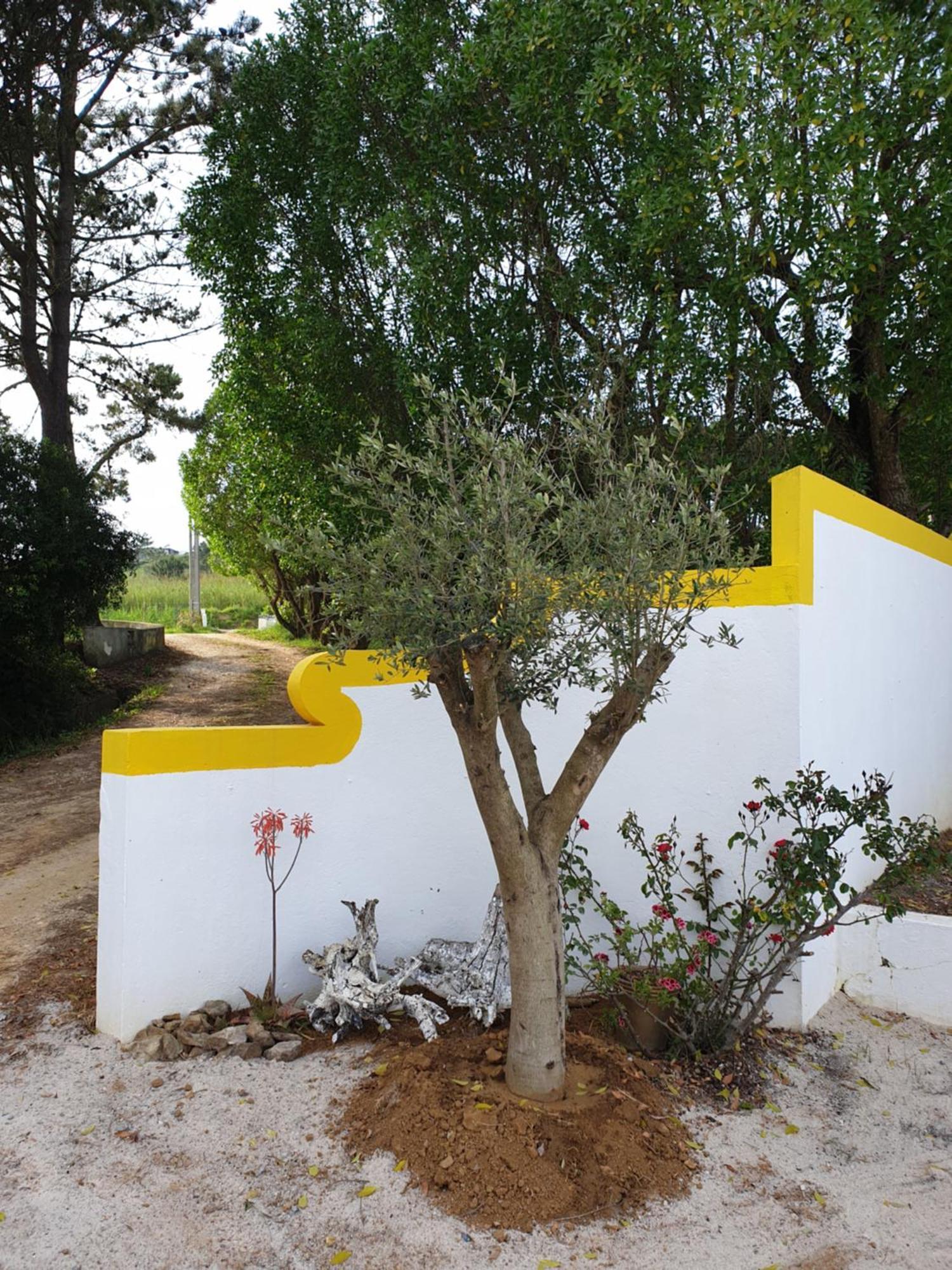 Sondela Self Catering São Martinho do Porto Exterior foto